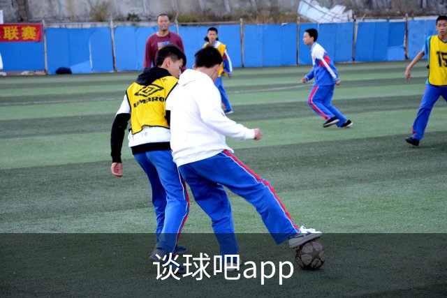谈球吧app公司简介图片